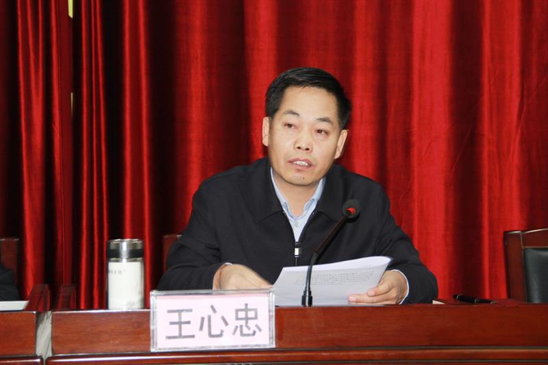 县政府常务副县长王心忠主持会议