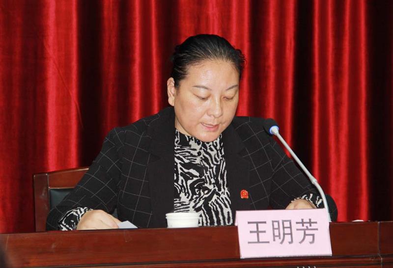 县人民政府副县长王明芳主持会议