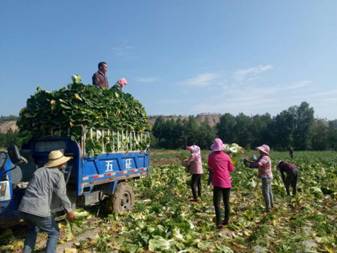 微信图片_20180702094601